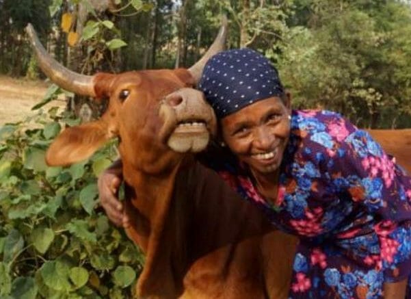 happy beneficiary with cow