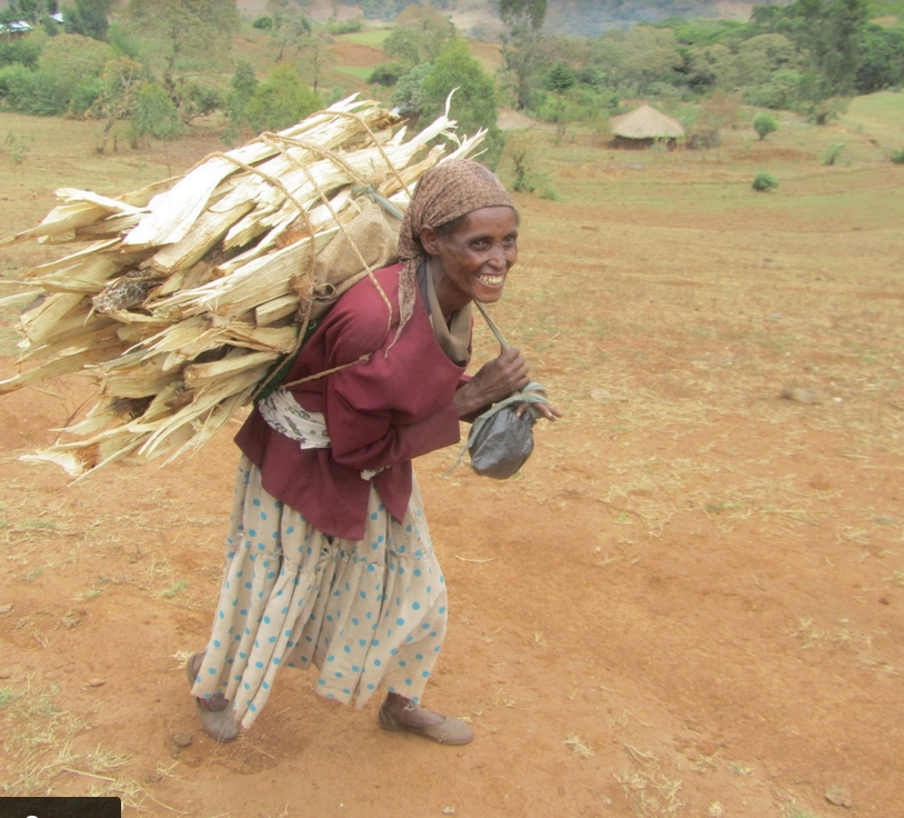 woman_carrying_wood