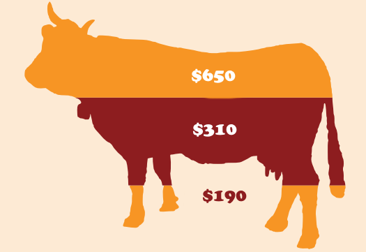 Cow donation graphic
