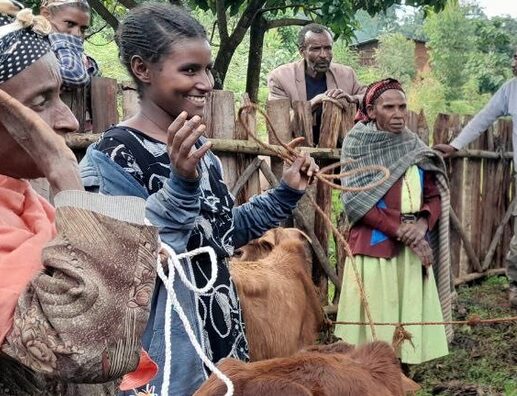 smiling women receive heifers in the dabaree program