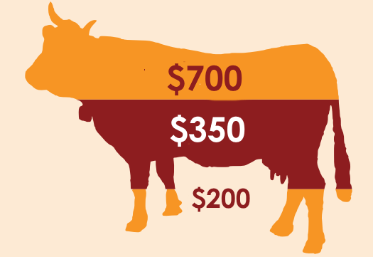 heifer gift portions